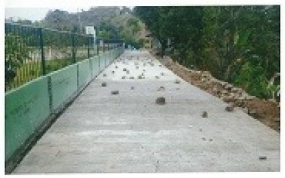 <p><strong> FINISHED ROAD PROJECT.</strong> Photo shows a portion of the completed Cabiten-Kamantakki road project in Cabiten, Mankayan, Benguet. The road project, done under the government's Payapa at Masaganang Pamayanan (Pamana) program for 'NPA-infested areas' and hard-to-reach communities, is expected to benefit vegetable farmers in the area. <em>(Photo courtesy of Benguet  Provincial Engineering Office.)</em></p>